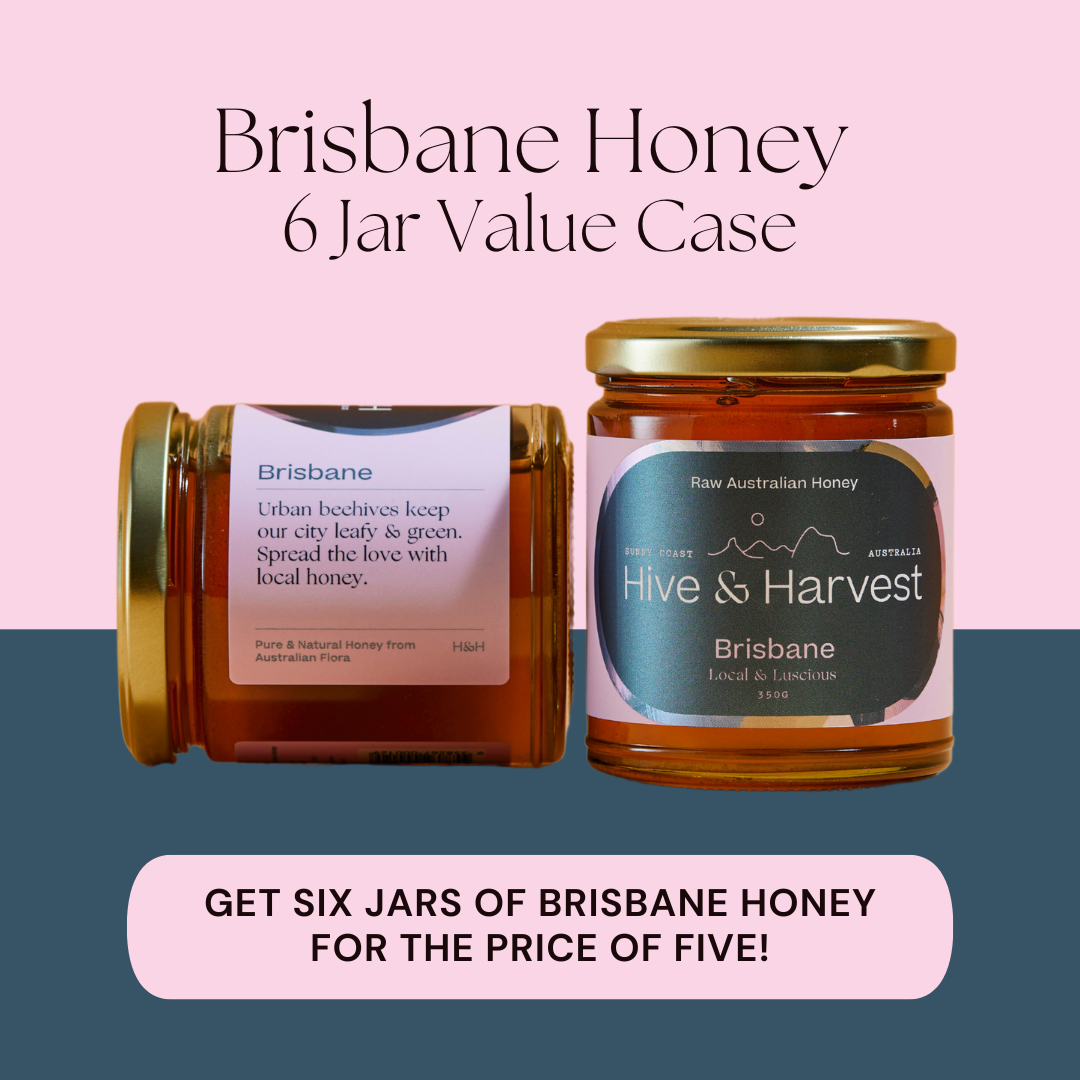 Brisbane Honey 6 Jar Value Case