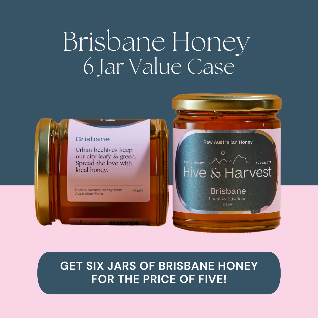 Brisbane Honey 6 Jar Value Case
