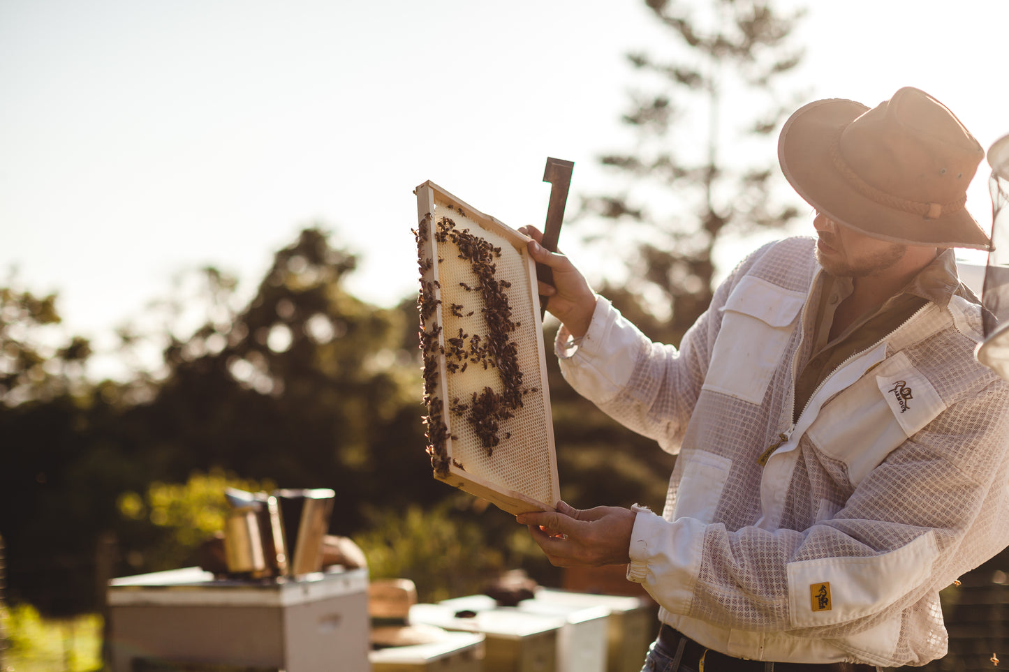 Pure Beeswax Block