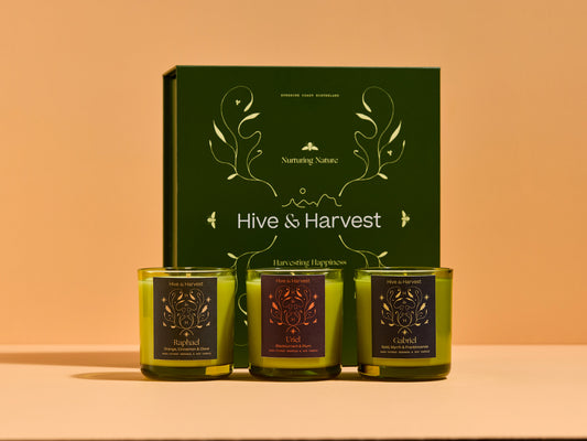 Christmas Candle Gift Set