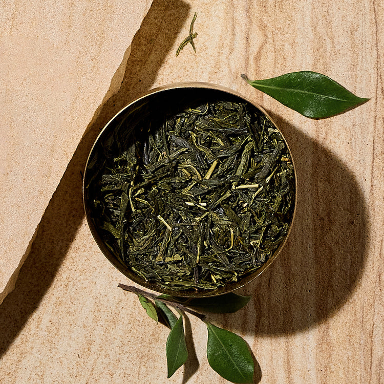 The Tea Centre Alpine Sencha Loose Leaf Tea Tin – Hive & Harvest