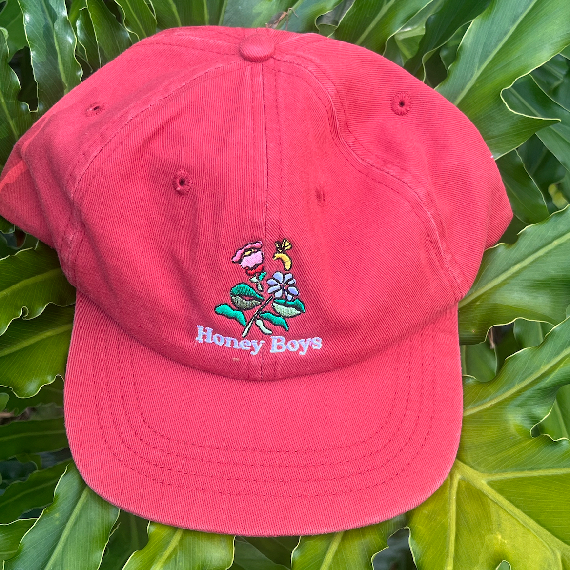 Honey Boys Sunset Snap Cap