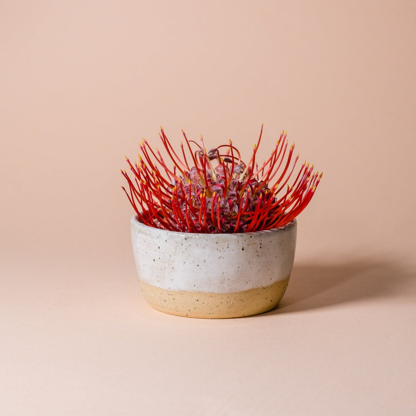 Honeycomb & Ceramics Gift Set