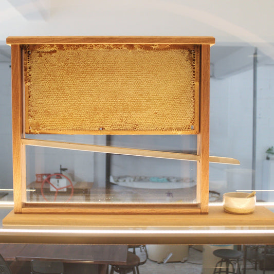 Handcrafted Honeycomb Display Case